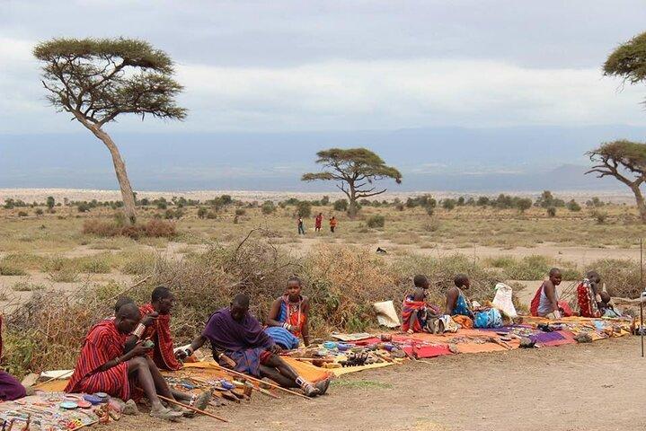 13-dagars privat Wildlife Safari Tour i Kenya och Tanzania