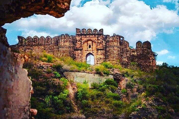 Fra Islamabad: Heldags Rohtas Fort (UNESCO Heritage Sight) guidet tur