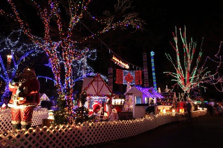 Vancouver Christmas Light Tour privado