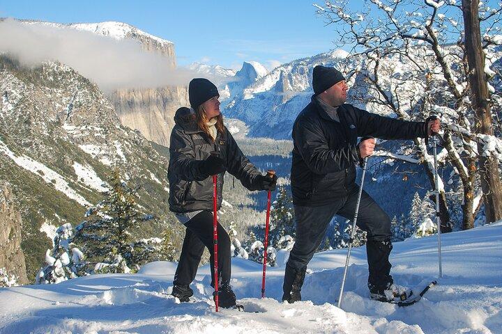 Caminata guiada privada con raquetas de nieve en Yosemite