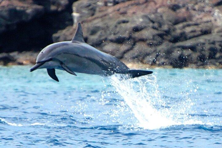 Big Island: Capitan Cook fa snorkeling su un catamarano a motore con pranzo