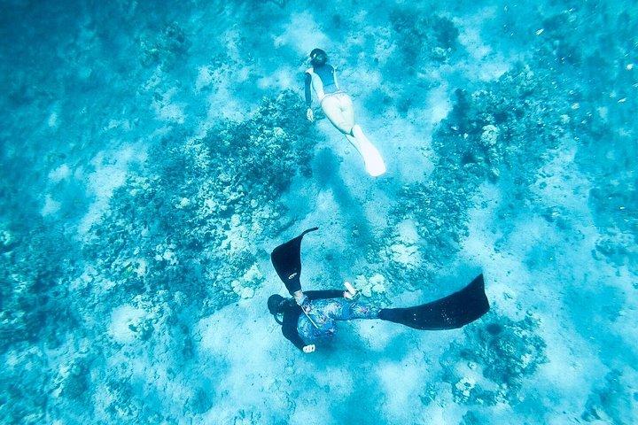Isla Grande: Capitán Cook Snorkel en un catamarán con almuerzo