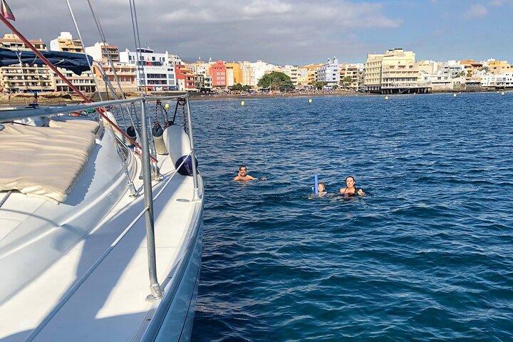 テネリフェ島 3 時間 クジラとイルカ発見ツアー