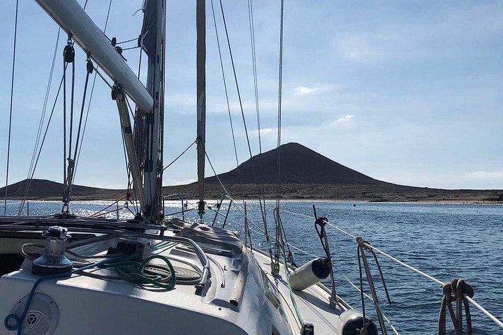 テネリフェ島 3 時間 クジラとイルカ発見ツアー