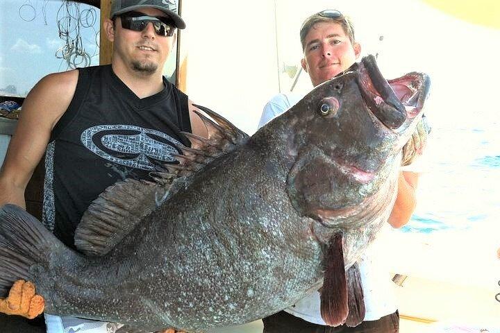 Privat 4-timers Big Game Deep Sea Fishing Charter i Fort Lauderdale
