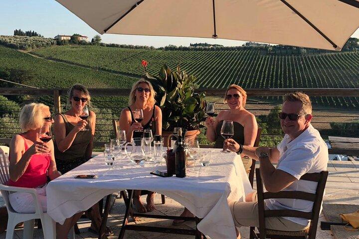 Degustazione di Vini Biodinamici con Produttore a Vinci