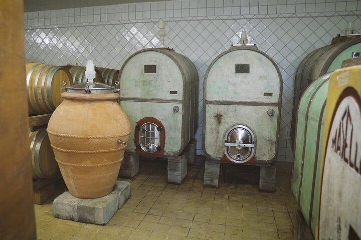 Degustazione di Vini Biodinamici con Produttore a Vinci