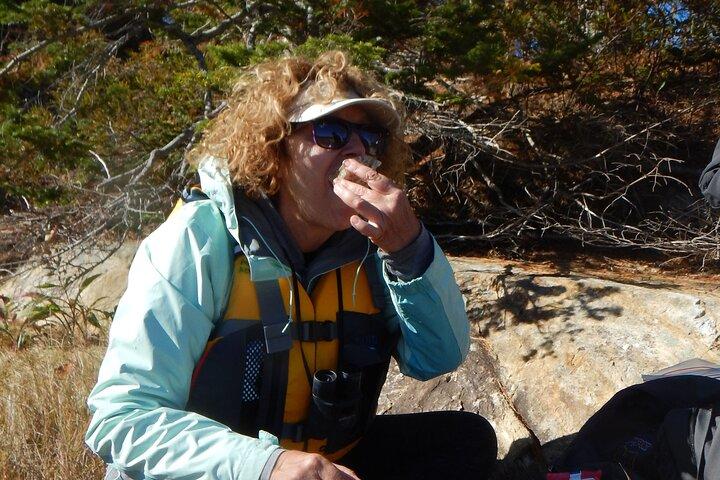 Austernfarm und kostenlose Verkostung einer Seekajaktour in der Casco Bay
