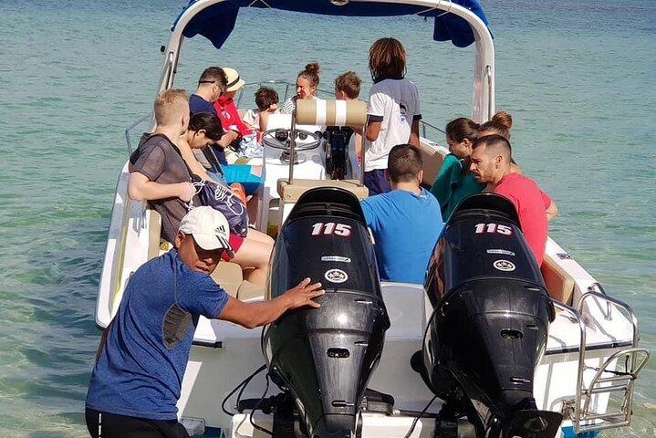 Fulldags simning med delfiner och Casela Nature Park Tour i Mauritius