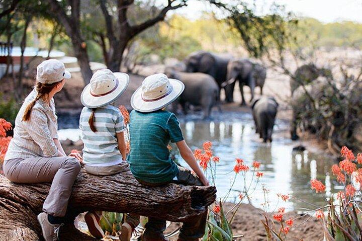 7 dages bedste luksusafari til Tanzania