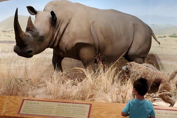 Las Vegas Natural History Museum Adgangsbillet