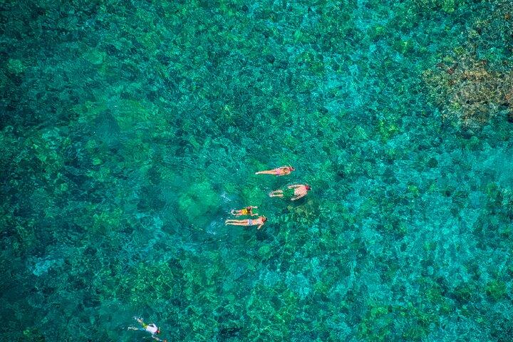 コナのベストモーニングシュノーケル： キャプテン・クック&ケアラケア湾