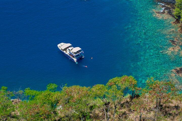 Luxury Kona Coast Snorkel Tour Including Lunch
