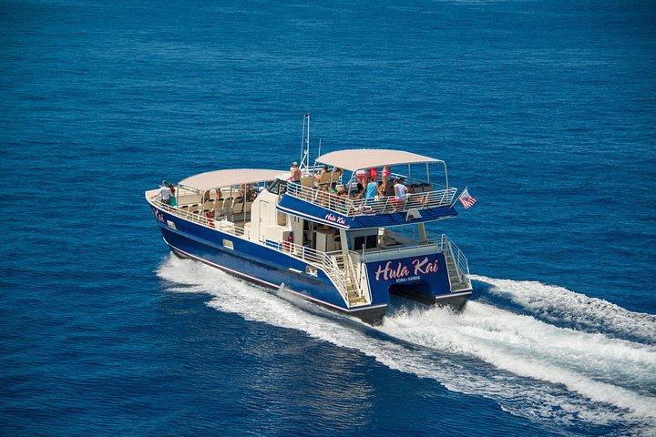 Luxury Kona Coast Snorkel Tour Including Lunch