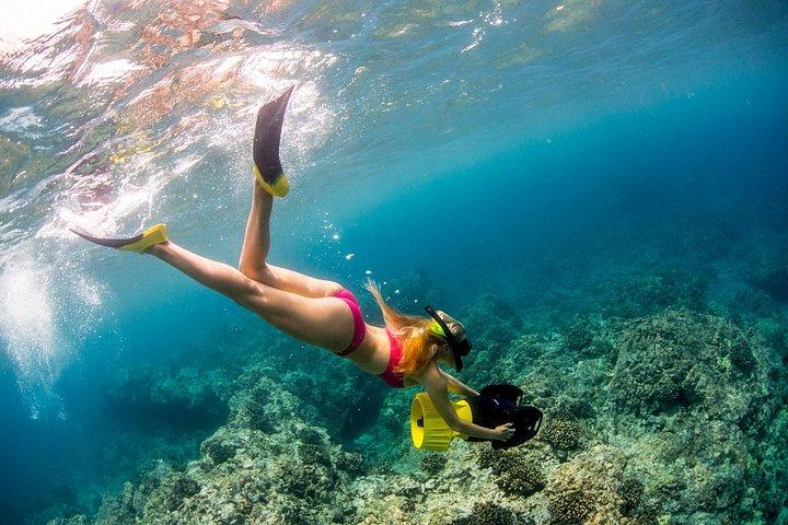 Luxury Kona Coast Snorkel Tour Including Lunch