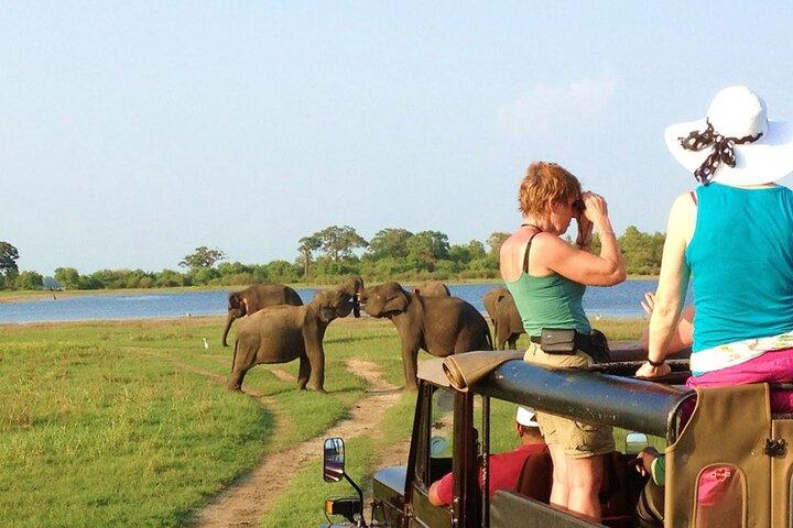 5 dages dyreliv og gorillasafari i Afrika