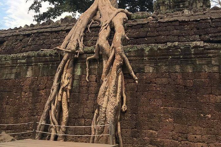 アンコールワット、タ・プローム、アンコールトム、バイヨン寺院日帰りツアー