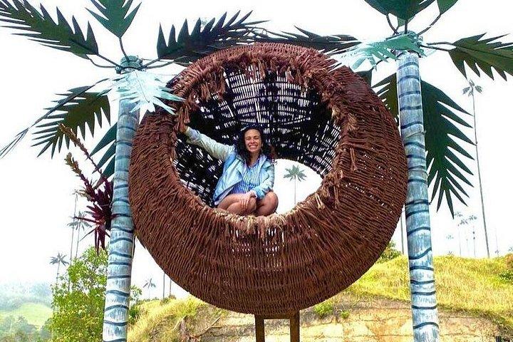 Tour in the Cocora Valley short
