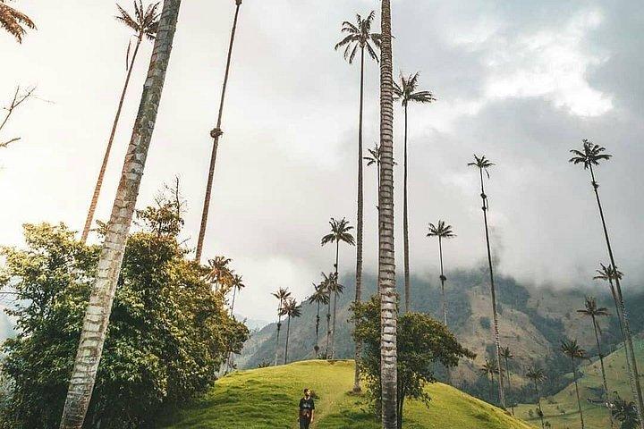 Tour in the Cocora Valley short
