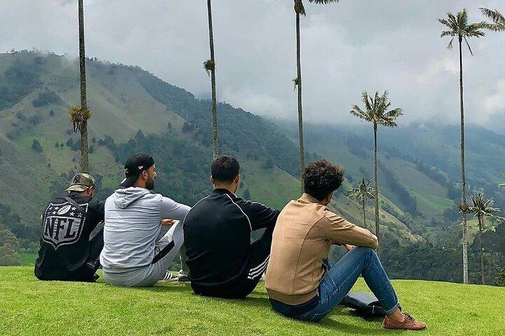 Courte visite dans la vallée de Cocora