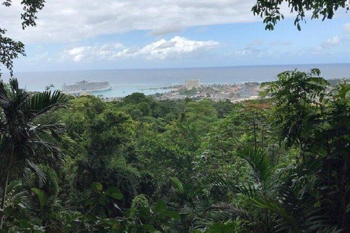 Visite privée à Ocho Rios et ses environs