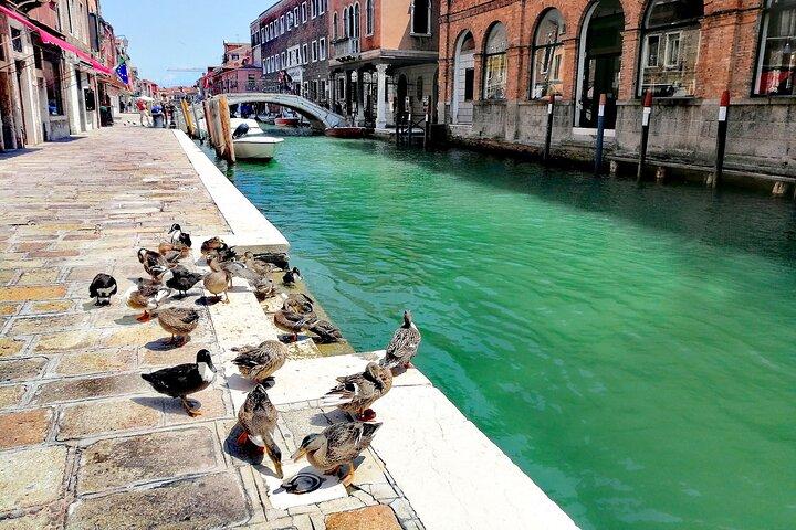 Workshop de lâmpada de vidro e caminhada em Murano