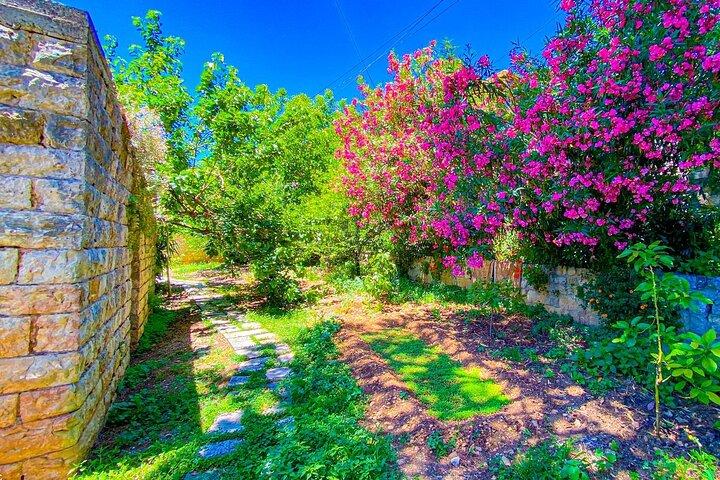 Tour privato a Beiteddine, Deir El Qamar e Cedri da Beirut