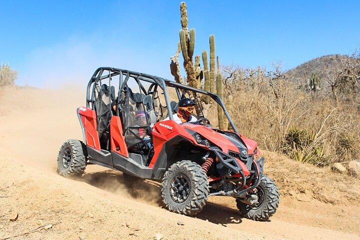Aventure côte à côte à Los Cabos