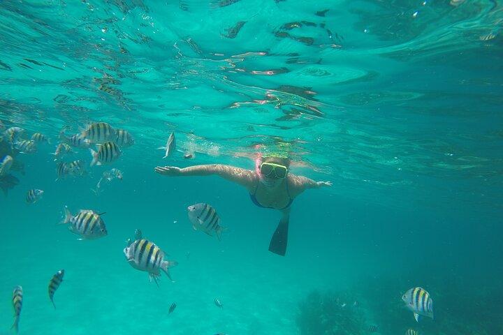 Privat snorkling eller fiske i Nassau - 38ft Freestyle
