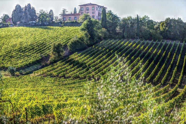 PRIVÉ wijnervaring van een hele dag met lunch in Chianti Classico.