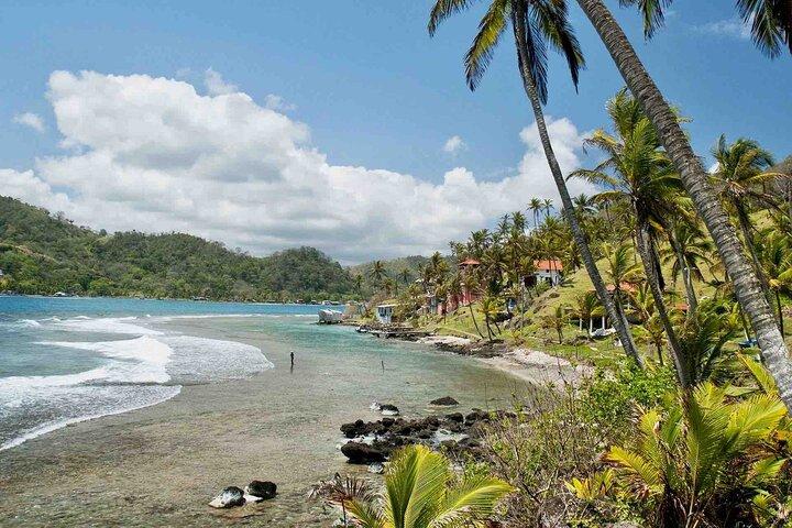 Excursión de un día al Caribe : Isla Grande, Mamey, Isla de los Monos & Portobelo