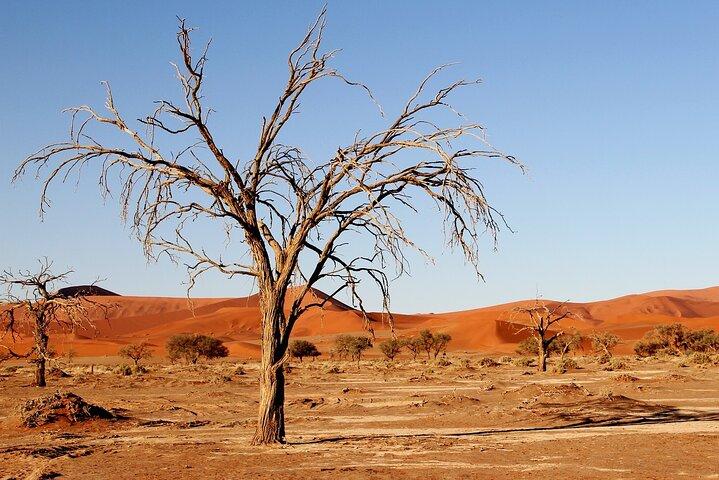 3 dage Sossusvlei Safari (logi) Namibia