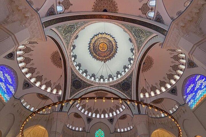 Heldagstur till Istanbul