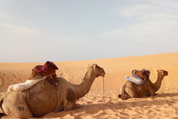 Deserto Lompoul