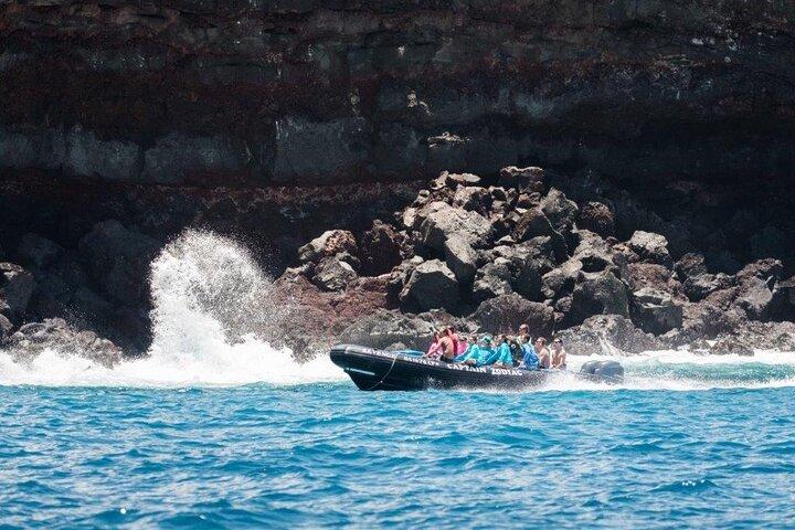 Charter privato Kona di 4 ore