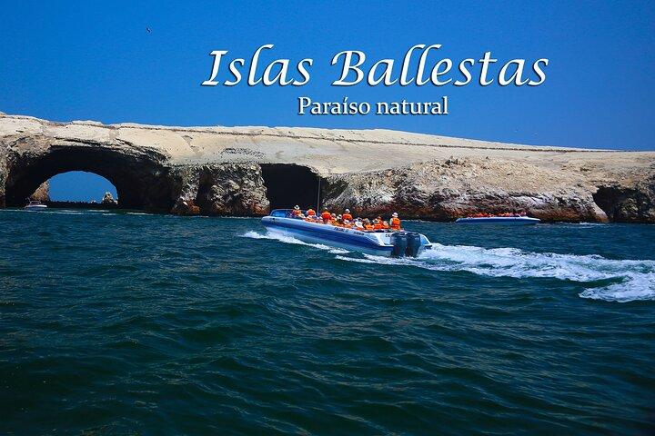 イカのバレスタス諸島とパラカス国立保護区