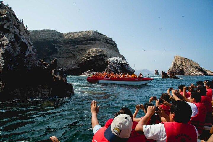 イカのバレスタス諸島とパラカス国立保護区