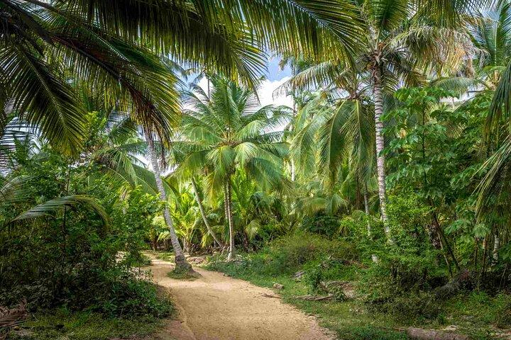 4 jours à Santa Marta, Tayrona et Minca