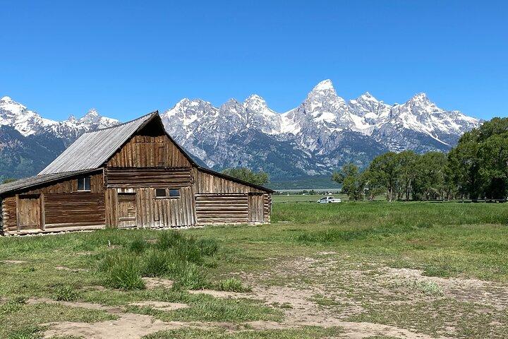 Excursão privada de dia inteiro ao Grand Teton National Park com almoço de piquenique