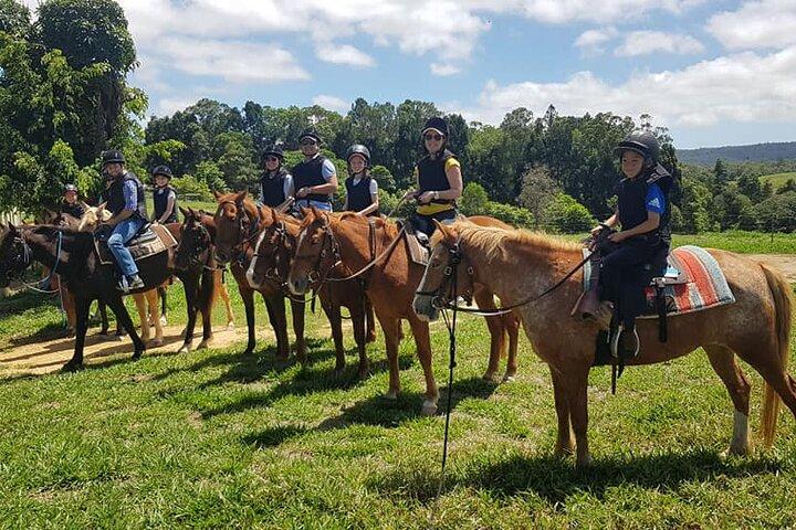 ふれあい動物園訪問付きの馬と四輪バイクのツアー