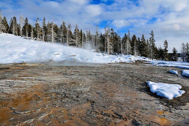 Yellowstone, Grand Teton & Utah Mighty 5 Winter Tour: Small Group 9-day Tour