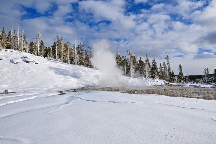 Yellowstone, Grand Teton & Utah Mighty 5 Winter Tour: Small Group 9-day Tour
