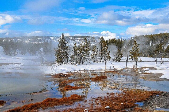 Yellowstone, Grand Teton & Utah Mighty 5 Winter Tour: Small Group 9-day Tour
