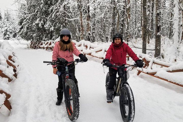 Winter Fat Biking Anchorage Tour