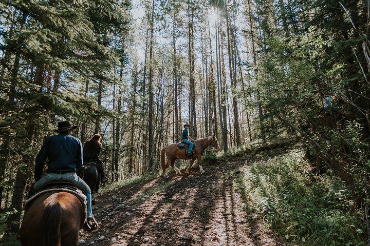 Ridge Ride Randonnée à cheval de 2 heures à Kananaskis