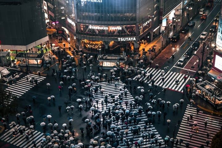 Tokyo City 1-Day Private Tour with Bilingual Driver