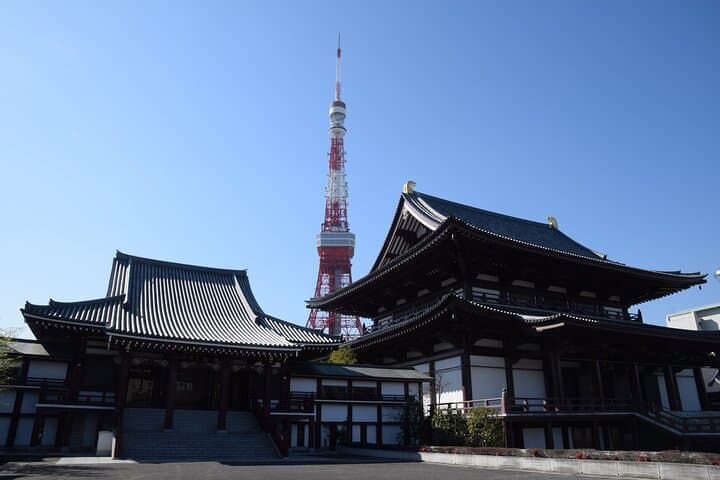 Tokyo City 1-Day Private Tour with Bilingual Driver
