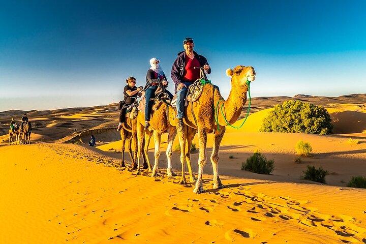 1 nat Merzouga kamel Trekking
