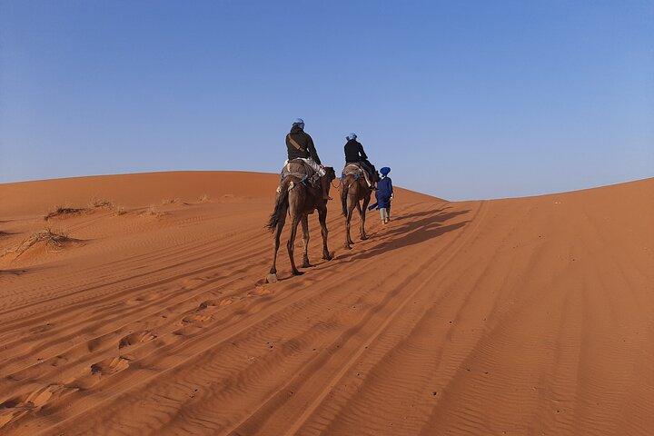 1 nat Merzouga kamel Trekking