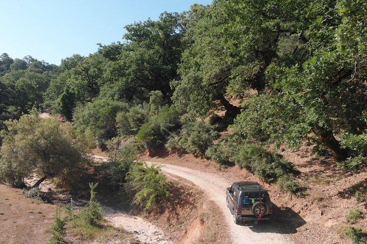 Aventura 4x4 a medida / Lefkada / Con Brunch